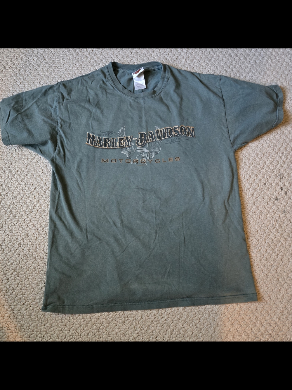 Harley-Davidson Men's Green Logo T-Shirt